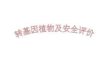 转基因植物（探索转基因植物的应用和影响力）