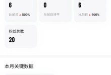探究粉丝影响力的构建与运用（如何有效提升和管理粉丝的影响力）