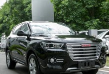 长城1.3T（探索长城1.3T轻型货车的性能、实用性与经济性）