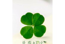 酷派大神f2MIUI8——性能卓越的手机之选（细致优化与流畅体验，大神f2MIUI8引领智能手机新风潮）