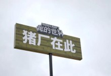 如何购买丁磊的珍稀猪（探索丁磊养殖业的秘密，了解购买途径与价格走势）