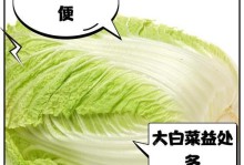 大白菜wim制作教程——烹饪创意与美味共享（学会制作大白菜wim，打造健康美味的佳肴）
