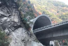 高铁4G信号现状与发展趋势（提速降费助力高铁4G信号持续优化）