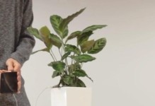 植物发电的新探索（利用植物生命力，开启清洁能源时代）
